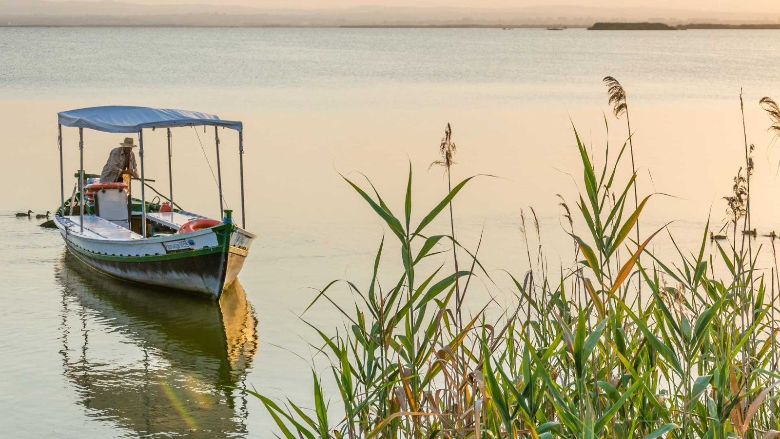 Barca en la Albufera de Valencia al atardecer